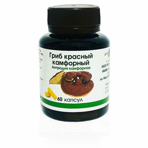 ������ ������ ������� ��������� ���� (�������� ���������) � �������� 60 �� ����