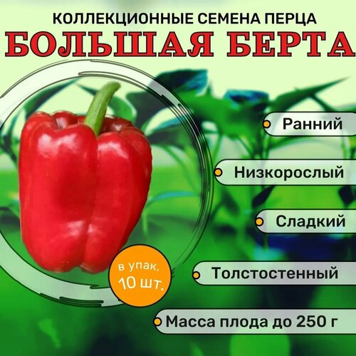 ������ ������ ������������� ������ ����� �������� ������� ����� ����