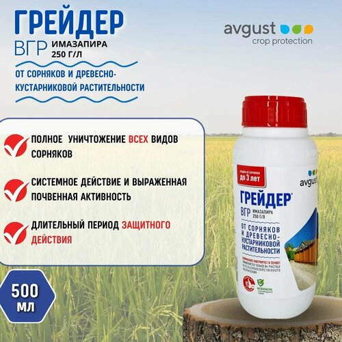 ������ ������ �������, ��� �������� �� ��������, 500 �� ����