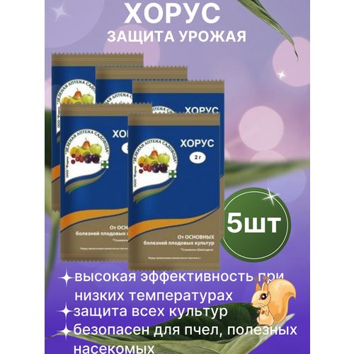 ������ ������ �������� ������ �������� �� �������� ����� 5 �� ����