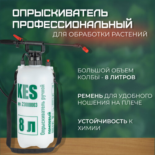 ������ ������ ����������� ��� ����, ������������� �������������, �������� ����������� ����