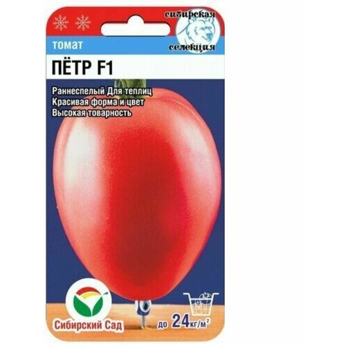 ������ ������ ������ ������� ���� ������(1 ��������-15 �� �����) ����