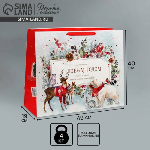 ������ ������ ����� �������������� �������������� �������� ������, XL 49 ? 40 ? 19 �� 1��. ����