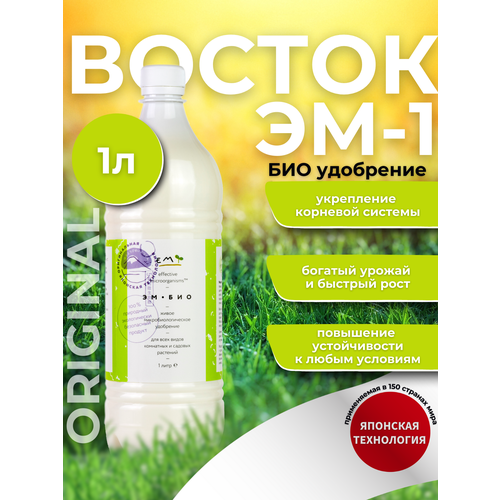 ������ ������ ��������� ��� �������� ������������� ��-��� (������ ��1), 1� ����