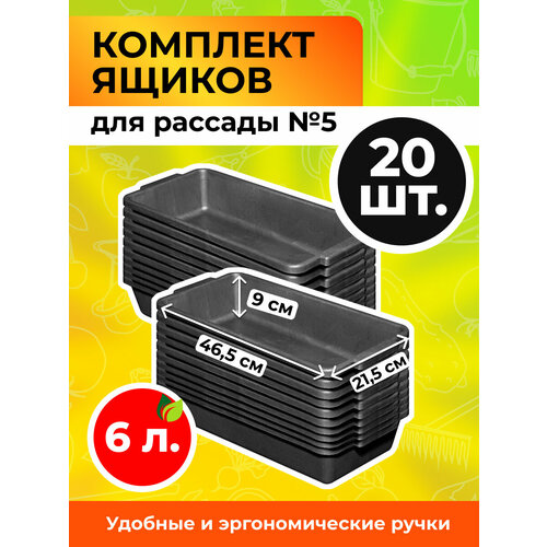 ������ ������ ���� ��� ������� 