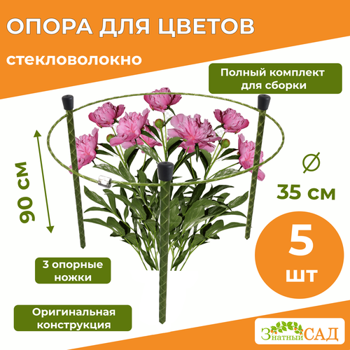 ������ ������ ����� ��� ������ /��������������/ 