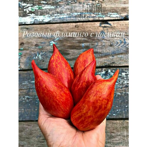 ������ ������ ������������� ������ ������ ������� �������� � ������� ����