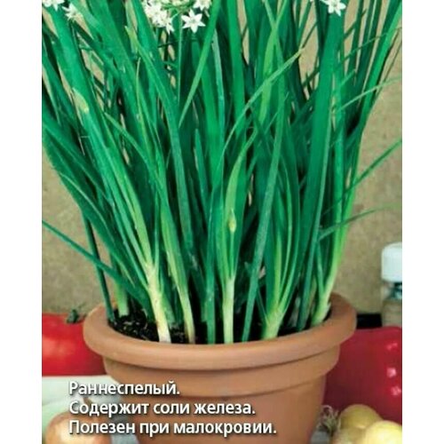 ������ ������ ������������� ������ ���� ������ ����� ����