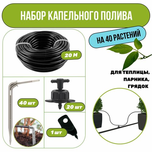 ������ ������ ����� ���������� ������ �� 40 �������� ��� �������, �������, ������ ����