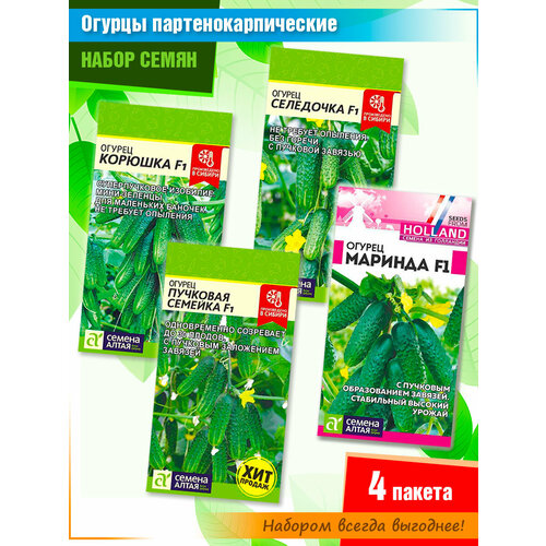 ������ ������ ����� ������������������ ������� �� ������ ����� (4 �����) ����