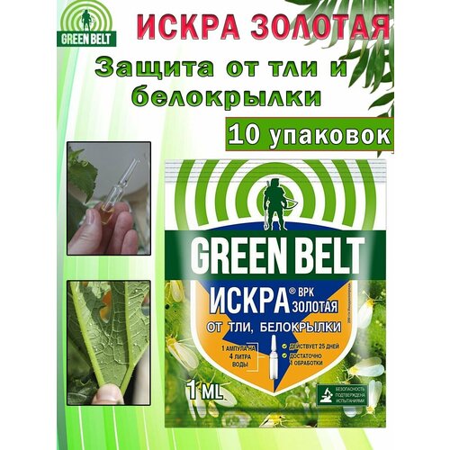 ������ ������ �������� ������ �������� green belt ����