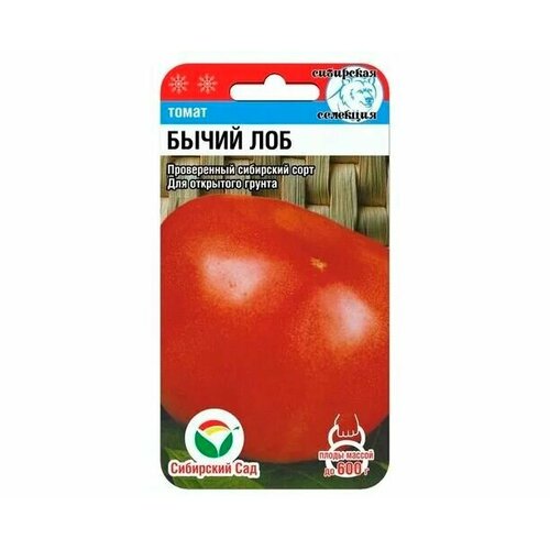 ������ ������ ������ ����� ����� ��� 20�� ����� (��������� ���) ����