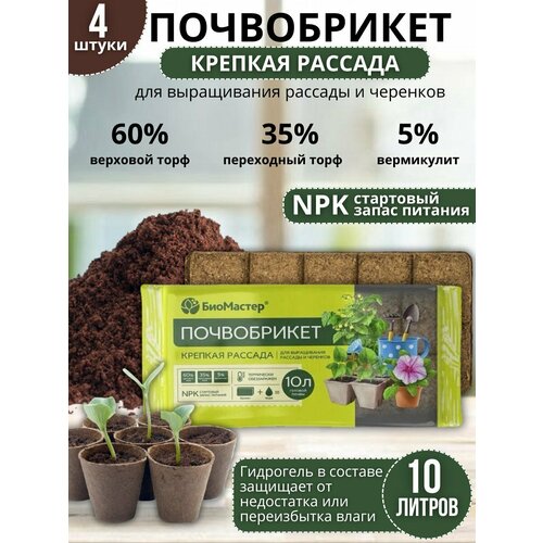 ������ ������ ��������� ����� ��� �������� ����������� ������� ������� 4 �� �� 10 � ����