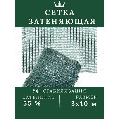 ������ ������ ����� ����������� 55% 3*10� ���� �������������� ��� ������� ��������� ������� ������ � �������� ����