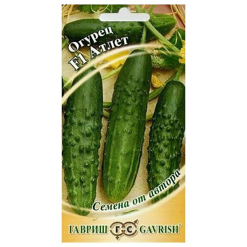 ������ ������ ������ ������ ����� F1 10 �� (�����) (������) ����