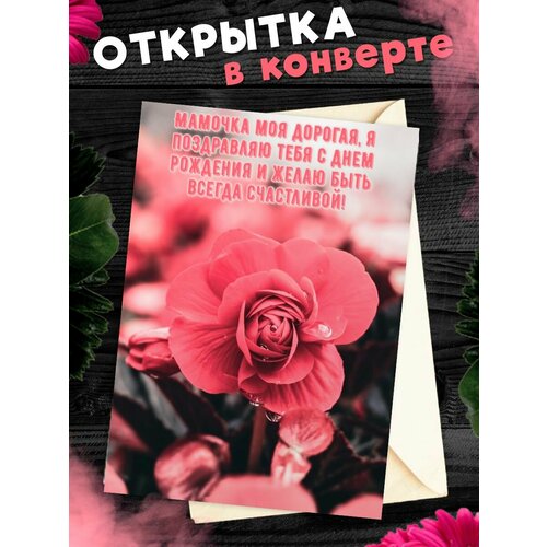 ������ ������ �������� �6 � �������� � ���� ��������, ����! ����