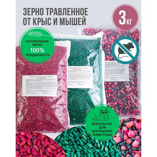 ������ ������ �������� �������� �� ���� � �����, ������ �� �������� ��� ��� 3 �� ����