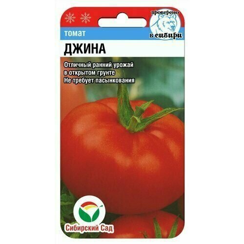 ������ ������ ����� ����� ��������� ���(1 ��������-20�� �����) ����