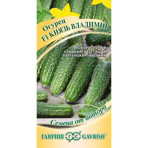 ������ ������ ������ ������ ����� �������� F1, 10��, ������, ������ �� ������ ����