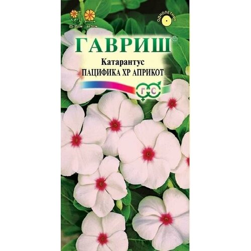 ������ ������ ������ ���������� �������� ������� 5�� (������) ������� ������ ����