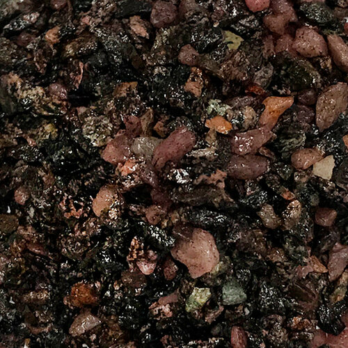 ������ ������ ����������� ����� ��� ��������, ����������� � ��������, Zoo One, ��������� ��������, 