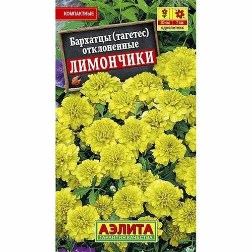 ������ ������ ������ �������� ���������, ����. (����������) (������) 0,3� ����