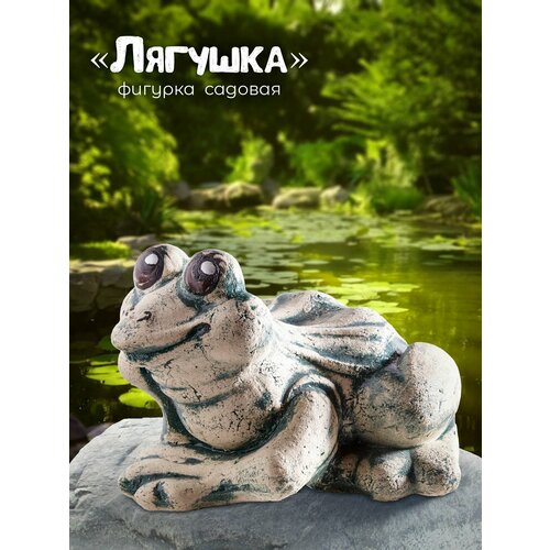 ������ ������ ������� ������� ������� ����