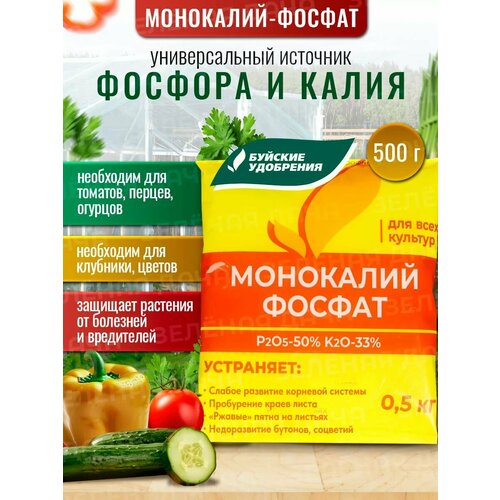 ������ ������ ��������� ��������� ������ 500��. ����