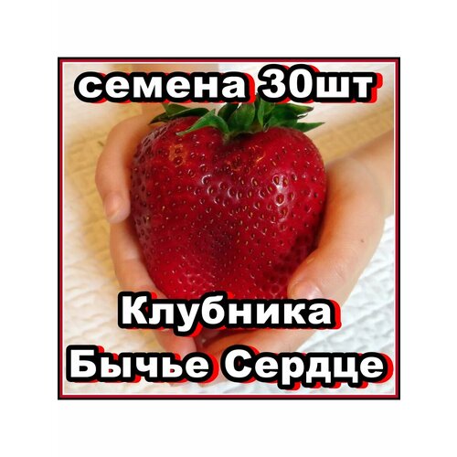 ������ ������ ������ �������� ����� ������ 30�� ����