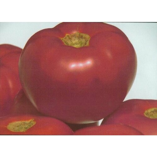 ������ ������ ������������� ������ ������ ���� �������� � ���� ���� ����