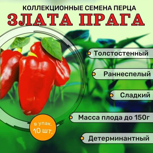 ������ ������ ������������� ������ ����� �������� ����� ����� F1 ����