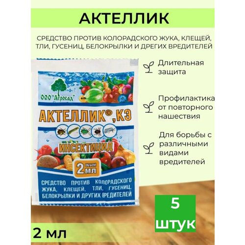 ������ ������ �������� ������ �������� �������� 5 �� ����