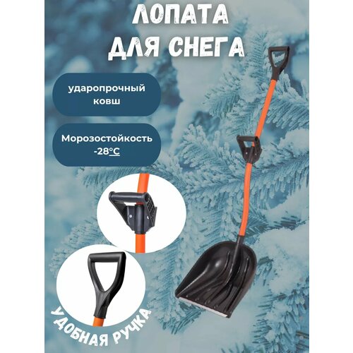 ������ ������ ������ ������ ��� ����� � ������������� �������� ����