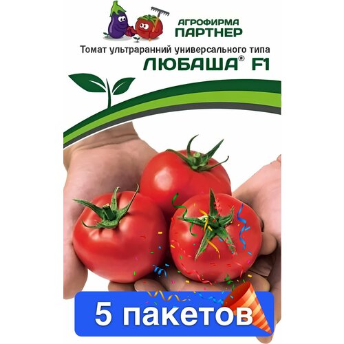 ������ ������ ������ ������ ��������� ������� 