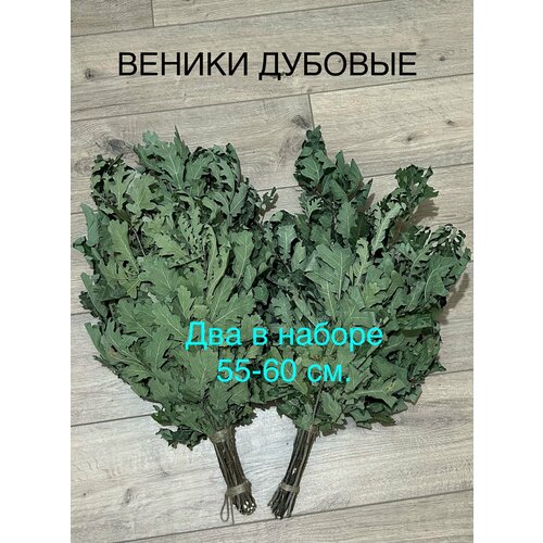 ������ ������ ����� ������� ��� ���� � �����. ���� 2024�. �����-2��. ������-55-60��. ����