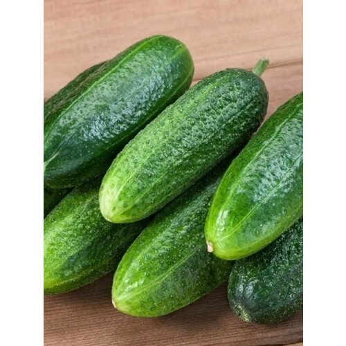 ������ ������ ������������� ������ ������ ������ � ���� F1 ����