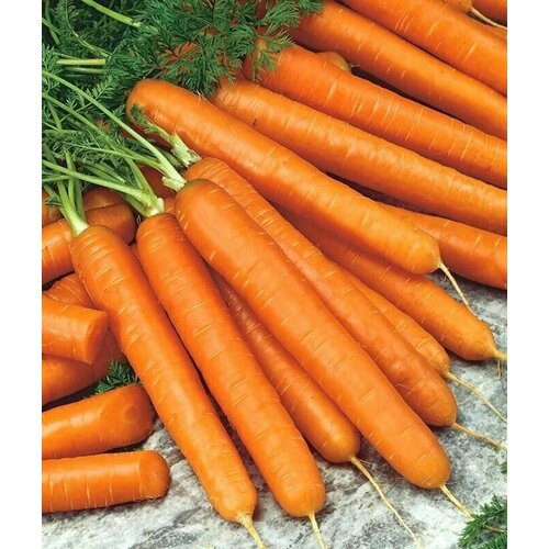 ������ ������ ������������� ������ ������� ������� ������ ����