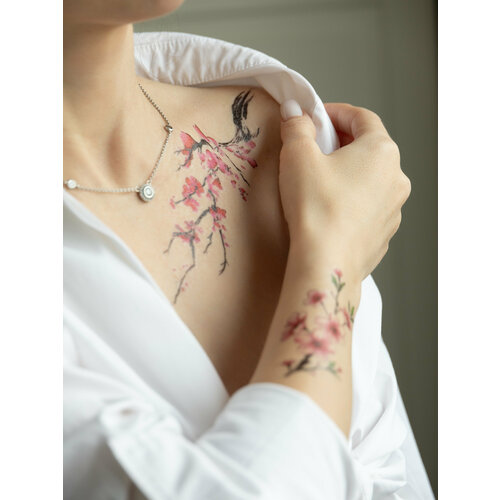 ������ ������ ��������� ���� ������ ����