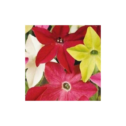 ������ ������ ������ �������� ����� �������� �������� ����� ����