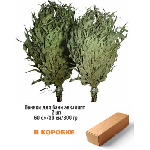 ������ ������ ����� ��� ���� ������������ 2 �� ����