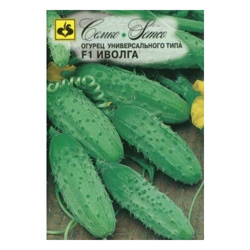 ������ ������ ������ ������ ������ F1 (5��) 1������� ����