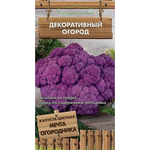 ������ ������ ������ ������� ������� ����� ���������� ����