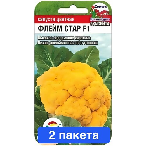 ������ ������ ������ ������ ��������� ��� 