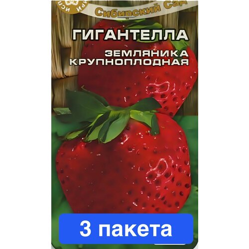 ������ ������ ������ ������ ��������� ��� 