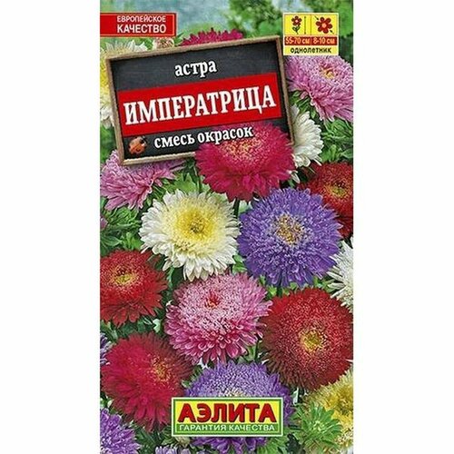 ������ ������ ������ ����� �����������, ����� �������, ����������, (������) 0,2� ������� ����