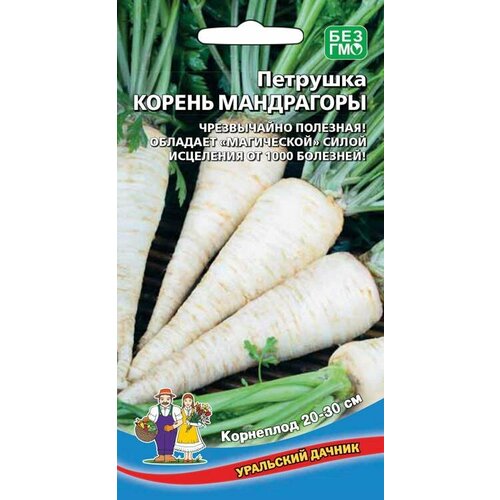 ������ ������ �������� ������ ���������� (����. ������) ����