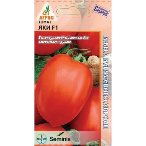 ������ ������ ������ ����� ��� F1 10�� ��� (�����) ����