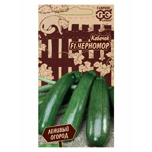 ������ ������ ������� 