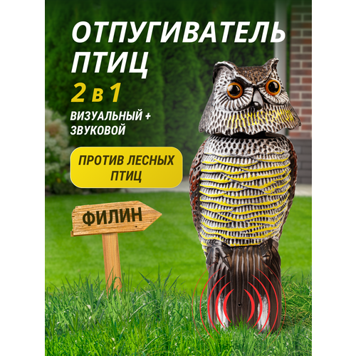 ������ ������ ������������ ���� ����������+�������� ����� ����