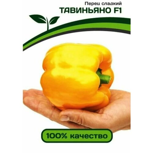 ������ ������ ������������� ������ ����� �������� ��������� F1 ����